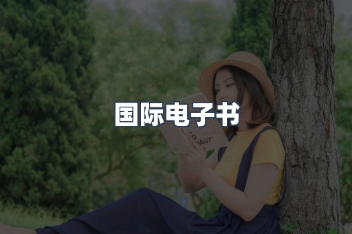 国际电子书